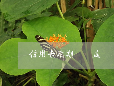 信用卡逾期說開庭