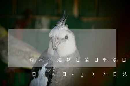 信用卡逾期誰能幫忙跟銀行協(xié)商(網(wǎng)上說信用卡逾期有人可以幫忙協(xié)商)