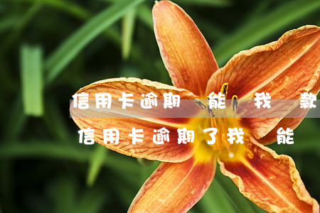 信用卡逾期誰能幫我貸款嗎(如果別人用我的信用卡逾期了我還能貸款嗎)