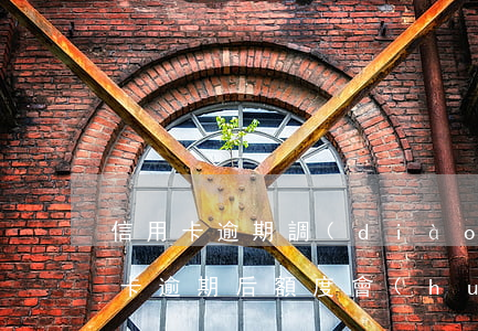 信用卡逾期調(diào)不了額度嗎(信用卡逾期后額度會(huì)降低嗎)