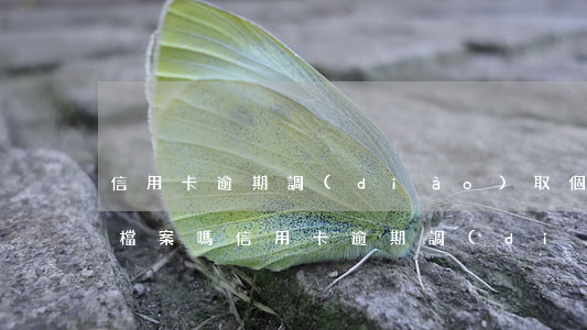 信用卡逾期調(diào)取個(gè)人檔案嗎(信用卡逾期調(diào)取個(gè)人檔案嗎)