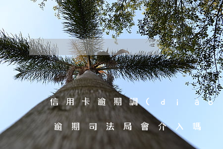 信用卡逾期調(diào)委會介入(信用卡逾期司法局會介入嗎)
