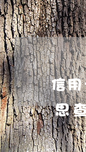 信用卡逾期調(diào)查取證是什么意思(查信用卡是否逾期)
