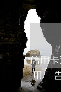 信用卡逾期調(diào)查情況說明-信用報告逾期記錄