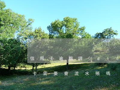 信用卡逾期調(diào)查流水-辦信用卡需要查流水賬嗎