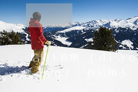 信用卡逾期調(diào)查組如何應(yīng)對(有信用卡調(diào)查組么?)