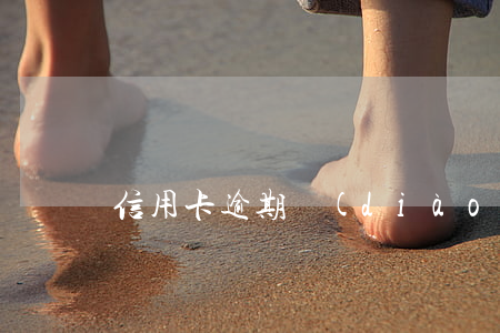 信用卡逾期調(diào)查還款能力