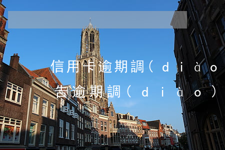 信用卡逾期調(diào)研報(bào)告(逾期調(diào)查組調(diào)查注意什么)
