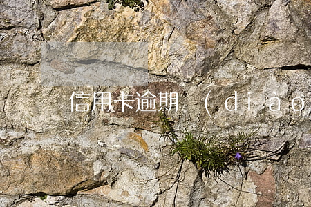 信用卡逾期調(diào)解人員