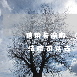 信用卡逾期調(diào)解是去銀行還是法院(可以去銀行柜臺(tái)協(xié)商信用卡逾期嗎)