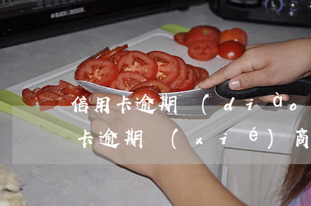 信用卡逾期調(diào)解書 如何寫信用卡逾期協(xié)商還本金情況說明書