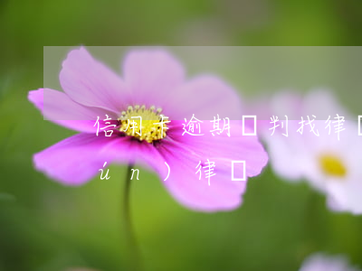 信用卡逾期談判找律師(信用卡逾期咨詢(xún)律師)