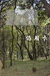 信用卡逾期談話高手視頻