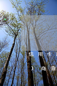 信用卡逾期請(qǐng)律師協(xié)商靠譜嗎(信用卡逾期律師事務(wù)所打電話來(lái)了能商量嗎)