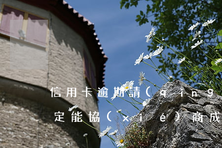 信用卡逾期請(qǐng)法務(wù)一定能協(xié)商成功嗎-信用卡逾期法務(wù)團(tuán)隊(duì)可靠嗎?