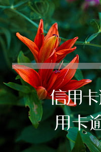 信用卡逾期講干貨-如何查詢(xún)信用卡逾期