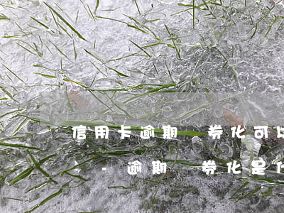 信用卡逾期證券化可以協(xié)商還款嗎-逾期證券化是什么意思