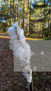 信用卡逾期證券化后還可以協(xié)商嗎-逾期證券化是什么意思