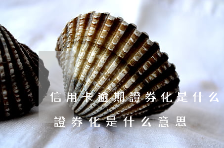 信用卡逾期證券化是什么意思-信用卡逾期證券化是什么意思