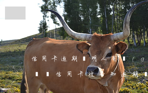 信用卡逾期證明人有關(guān)系嗎(沒辦過信用卡被告知逾期,銀行有責(zé)任嗎)