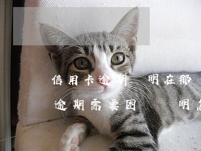 信用卡逾期證明在那開(kāi)(還信用卡逾期需要困難證明怎么開(kāi))
