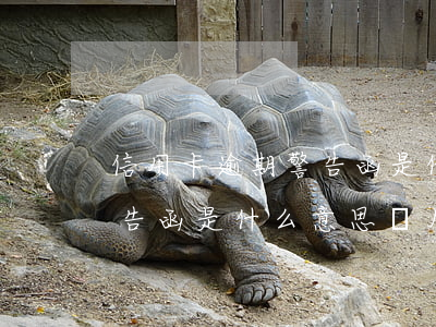 信用卡逾期警告函是什么意思 信用卡逾期警告函是什么意思圖片