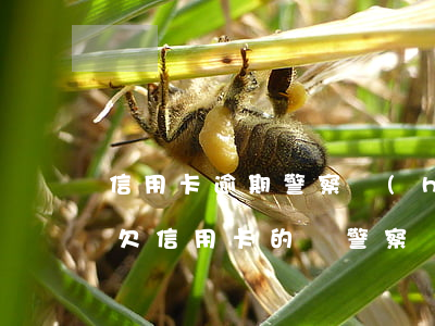信用卡逾期警察會(huì)找你做筆錄嗎 欠信用卡的錢警察會(huì)找你嗎