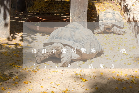 信用卡逾期警察會異地辦案嗎(異地警察凍結(jié)信用卡)