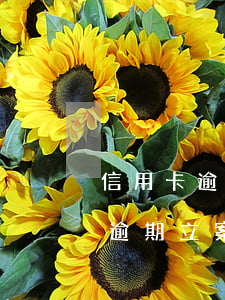 信用卡逾期警察来找(公安局打电话说信用卡逾期立案)