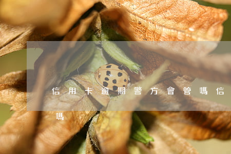 信用卡逾期警方會管嗎(信用卡逾期警方會管嗎)