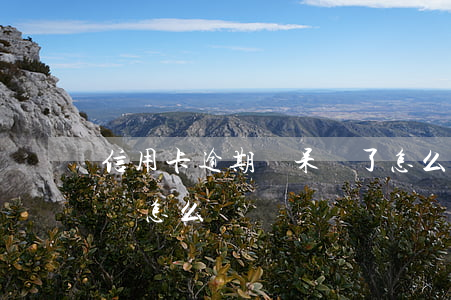 信用卡逾期變呆帳了怎么辦(貸款逾期變成呆賬怎么辦)
