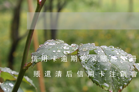 信用卡逾期變呆賬能注冊(cè)公司嗎(呆賬還清后信用卡注銷會(huì)顯示逾期嗎)