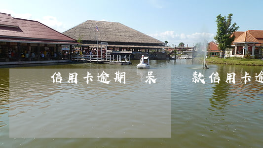 信用卡逾期變呆賬還款(信用卡逾期變呆賬)
