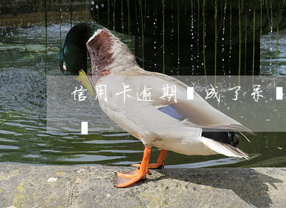 信用卡逾期變成了呆賬(信用卡逾期變成了呆賬)