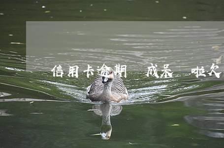 信用卡逾期變成呆賬啦(欠信用卡變呆賬)