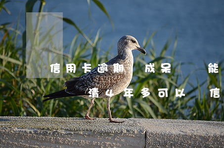信用卡逾期變成呆賬還能做房貸嗎(逾期.呆帳還清4年多可以辦信用卡嗎)