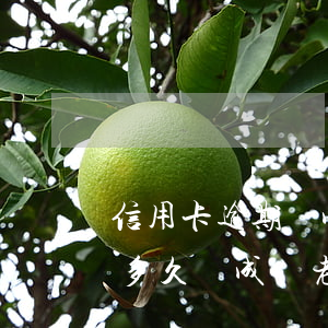 信用卡逾期變成老賴有多少人(信用貸款逾期多久會成為老賴)