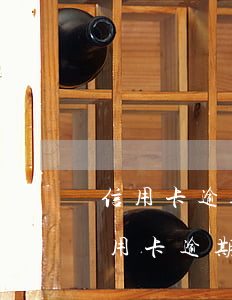 信用卡逾期變成黑名單如何恢復(fù) 信用卡逾期變成黑名單如何恢復(fù)使用
