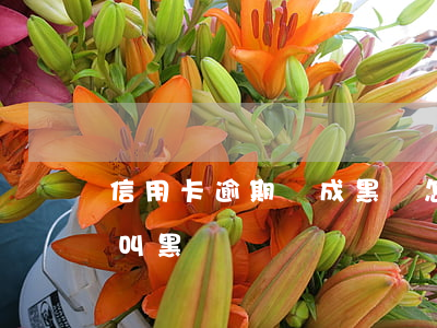 信用卡逾期變成黑戶怎么辦(逾期了怎么樣才叫黑戶)