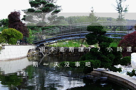 信用卡逾期讓72小時還清還款(還信用卡逾期一天沒事吧)