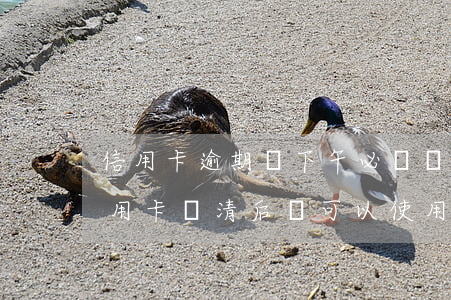 信用卡逾期讓下午必須還進去(逾期過后的信用卡還清后還可以使用么)