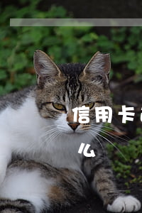 信用卡逾期讓今天歸還(信用卡逾期卡失效怎么還)