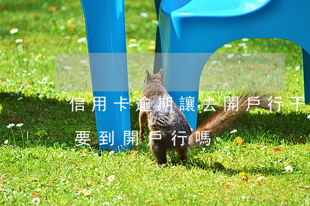 信用卡逾期讓去開戶行干什么(辦信用卡必須要到開戶行嗎)