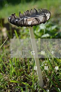 信用卡逾期讓回戶籍地處理-遷戶口信用卡逾期會(huì)有影響