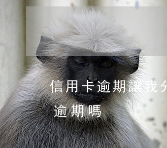 信用卡逾期讓我分期(分期卡逾期屬于信用卡逾期嗎)