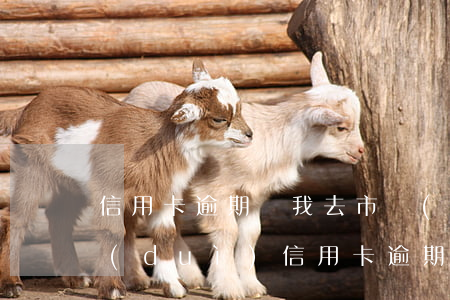 信用卡逾期讓我去市經(jīng)偵大隊(duì)(信用卡逾期讓我去市經(jīng)偵大隊(duì))