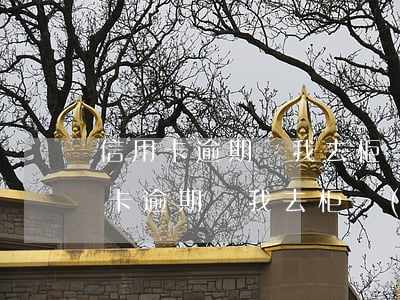 信用卡逾期讓我去柜臺(tái)還款(信用卡逾期讓我去柜臺(tái)還款)