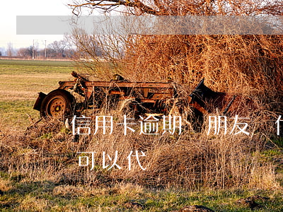 信用卡逾期讓朋友寫代還證明(逾期的信用卡可以代還嗎)