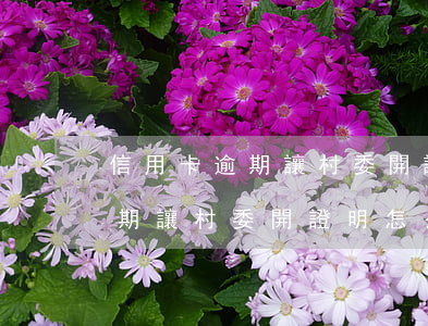 信用卡逾期讓村委開證明怎么寫-信用卡逾期讓村委開證明怎么寫材料