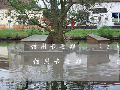 信用卡逾期讓準(zhǔn)備材料怎么辦(信用卡逾期讓準(zhǔn)備材料怎么辦)